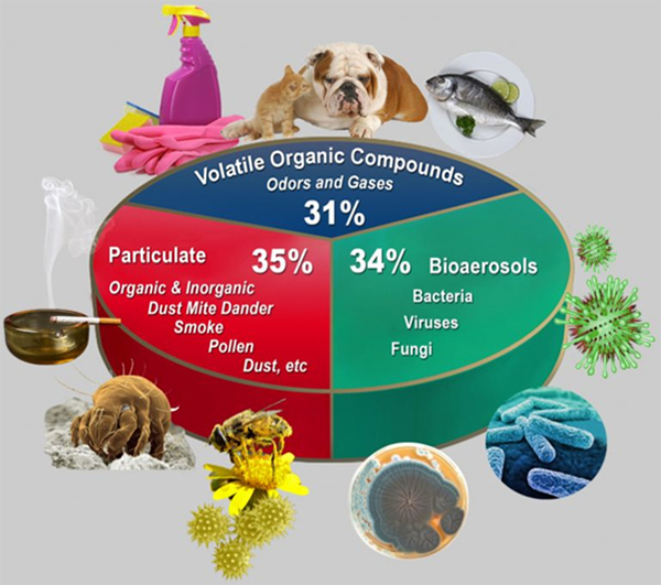 Breakdown of indoor air pollutants: 35% particulate, 34% bioaerosols, 31% volatile organic compounds